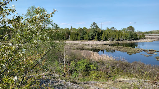 Photo of Laurier Woods Conservation Area - Brule St, North Bay, ON P1A 3Z5